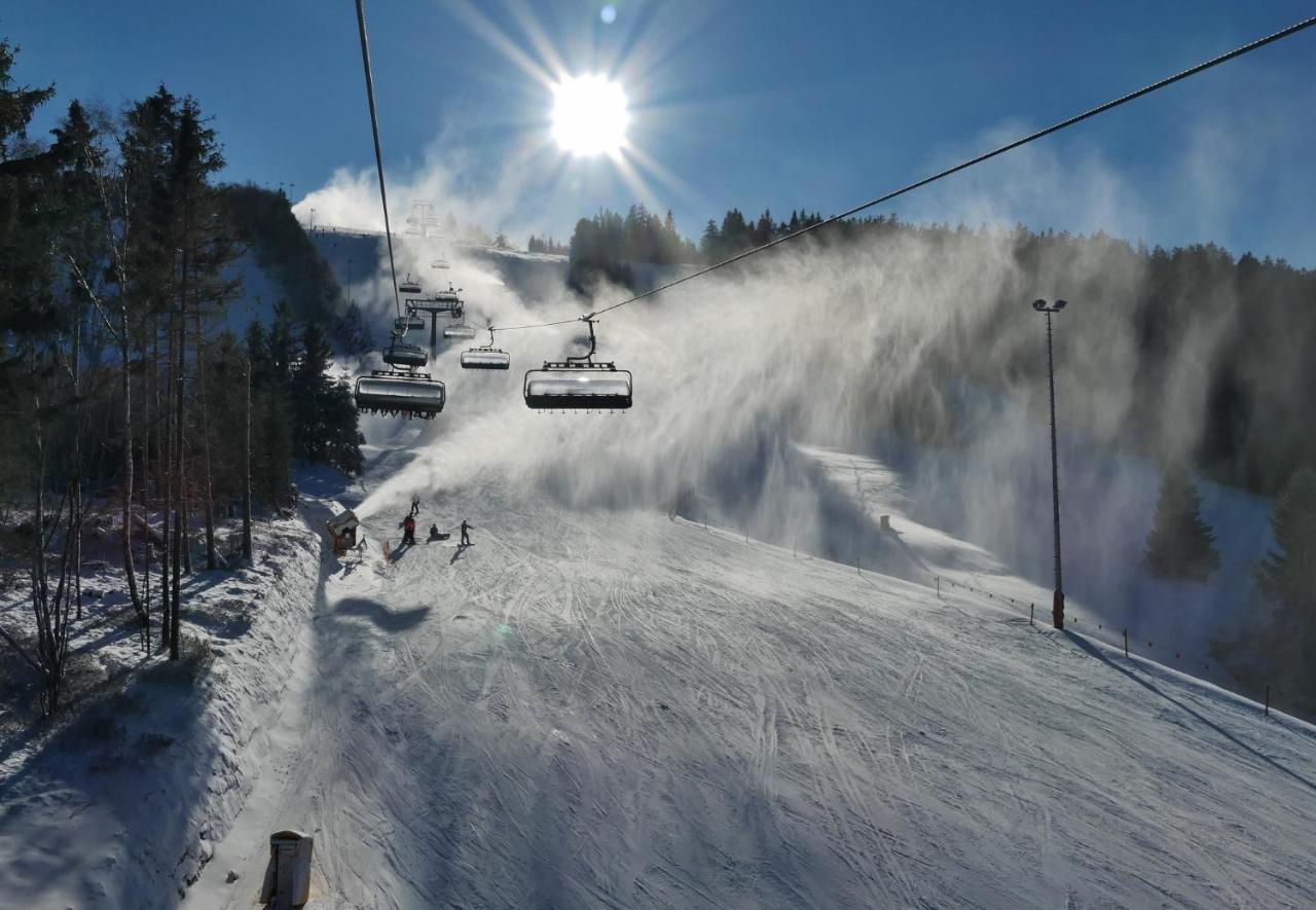 Quartier12 "Ski In & Bike Out" - Fewo Berg Willingen  Buitenkant foto