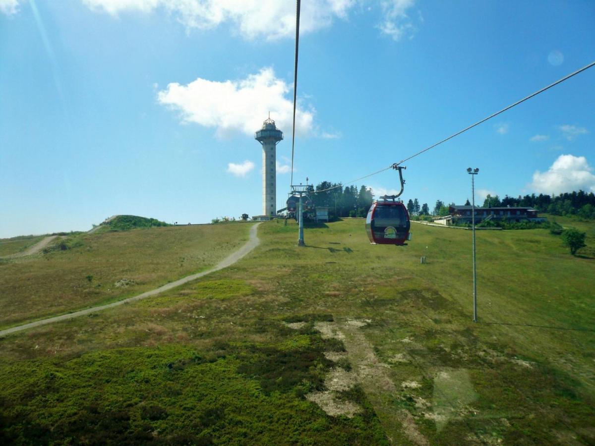 Quartier12 "Ski In & Bike Out" - Fewo Berg Willingen  Buitenkant foto